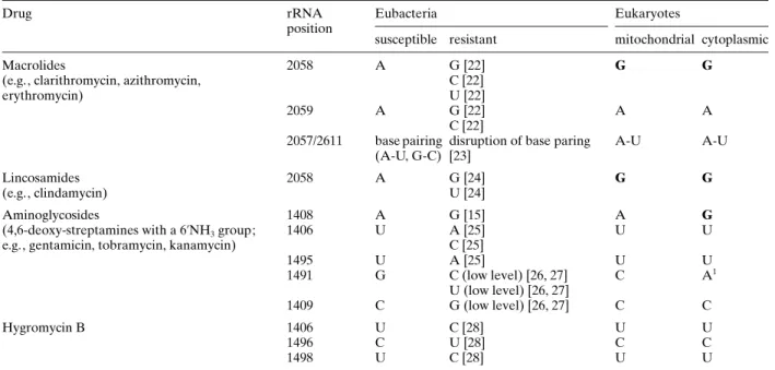 Table 2. Bacterial resistance mutations and corresponding eukaryotic sequence positions