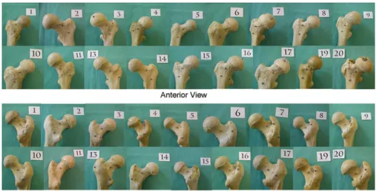 Table 1 Reconstruction errors when different number of images were used