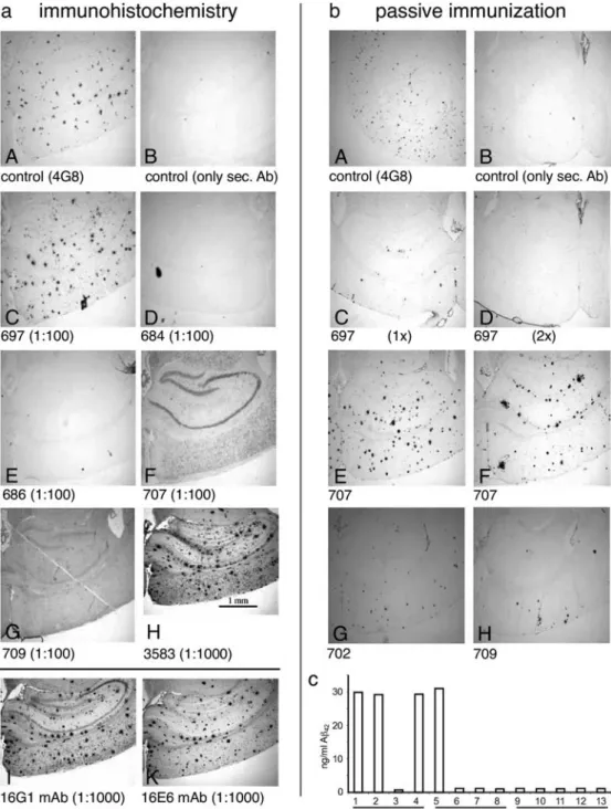 Fig. 5 a Immunohistochemical staining of amyloid plaques in brains of 12 months old transgenic APP mice by sera of immunized mice