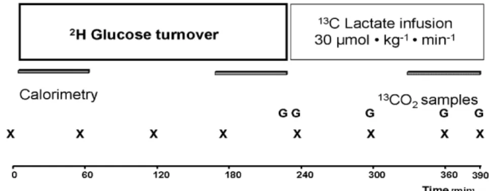 Fig. 1 Diagram of the protocol performed in eight patients during continuous veno-venous hemodiafiltration (CVVHDF) with lactate and bicarbonate buffer in a sequential manner