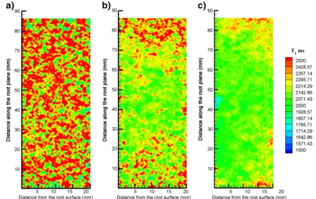 Fig. 5 T 1 maps at horizontal cross-sections of the rhizobox at t=11 h when the water level dropped in the rhizobox: a) 1st slice from top where it was unsaturated, b) 2nd slice partly saturated, and c) 4th slice completely saturated