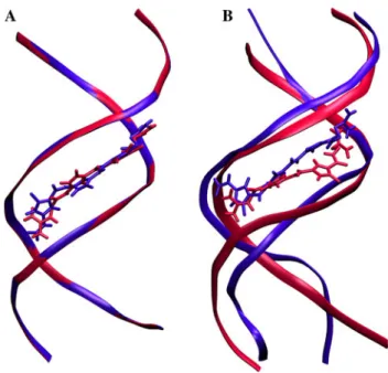 Fig. 3 a Superposition of trajectory structures of Net-DNA (red) and Dist-DNA (blue) complexes after 1 ns of MD simulations in which DNA was positionally restrained