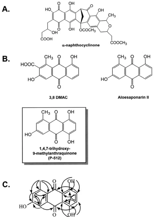 Figure 5. Chemical structures of α-naphthocyclinone (A), the metabolites produced by S