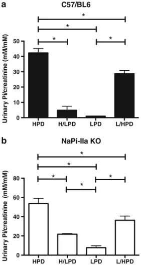 Fig. 2 Urine Pi excretion during chronic and acute changes in dietary Pi.