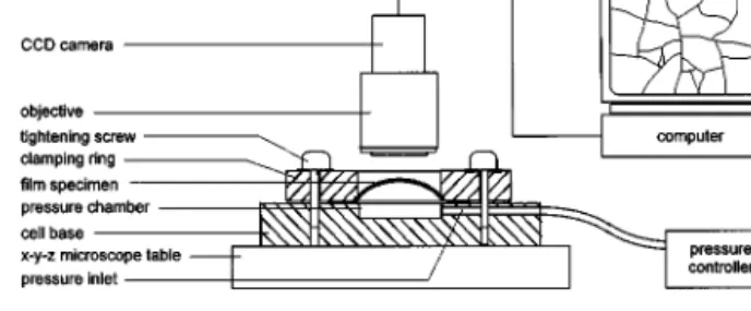 Figure 1 Bulging cell experimental set-up.