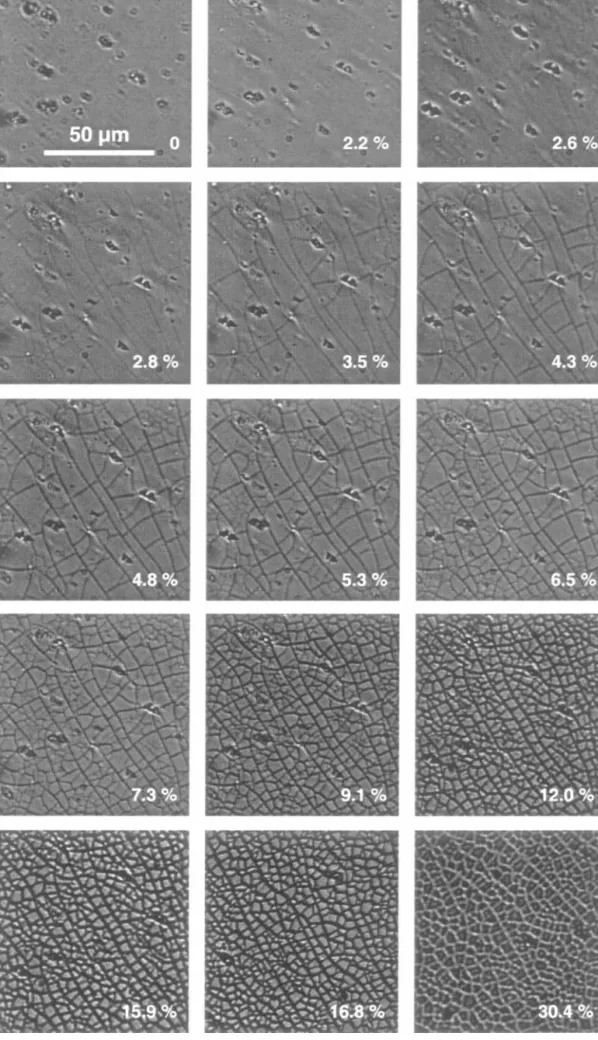 Figure 6 Fragmentation sequence of the 53 nm thick SiO x coating during equibiaxial straining of the coated PET film.