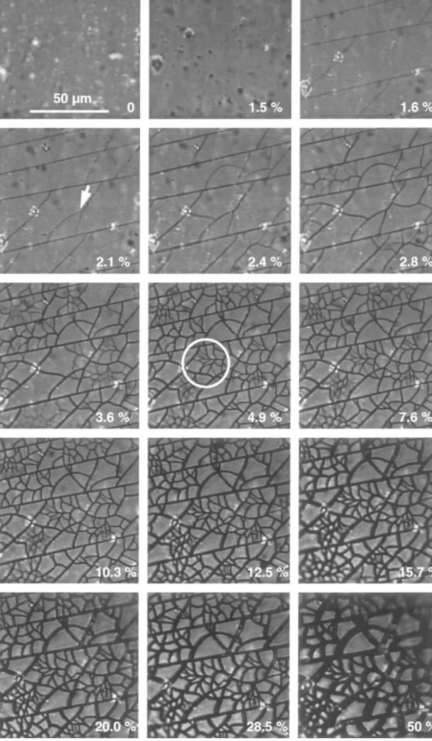 Figure 7 Fragmentation sequence of the 103 nm thick SiO x coating during equibiaxial straining of the coated PET film