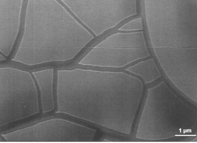 Figure 8 Scanning electron micrograph of 53 nm thick SiO x fragments at saturation.