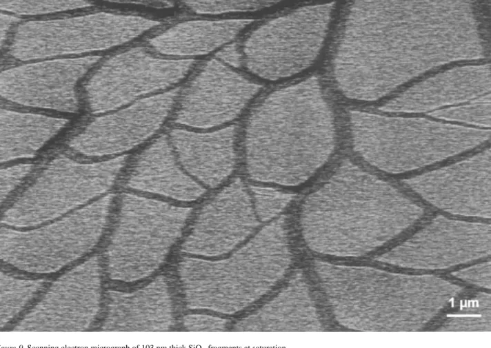 Figure 9 Scanning electron micrograph of 103 nm thick SiO x fragments at saturation.