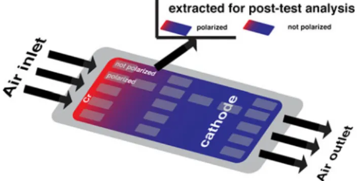 Fig. 1 Segment locations on the cell. Red colour qualitatively indicates the relative Cr distribution over the current collection surface