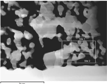 Fig. 3 DSTEM micrograph of the unpolarized segment. The elec- elec-trolyte is at the bottom, and white squares (site 1 and 2) indicate the two regions of detailed analysis presented in Figs