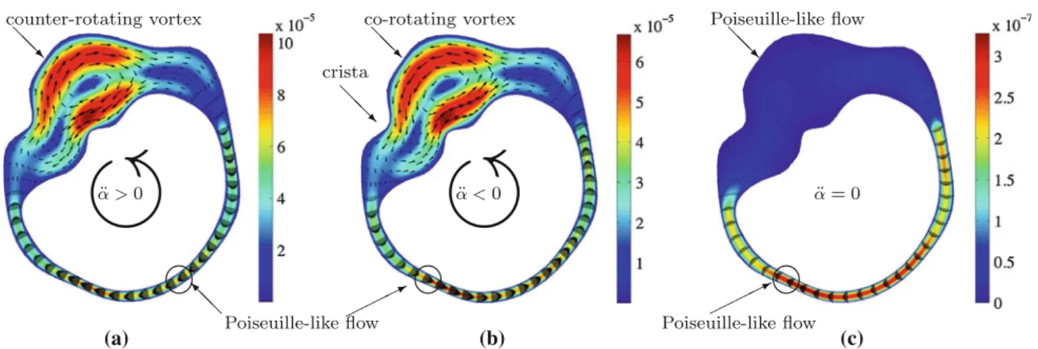Fig. 5 Velocity field in plane x 3 = 0 at (a) t = 0 . 8 s (flow regime I; acceleration), (b) t = 1 