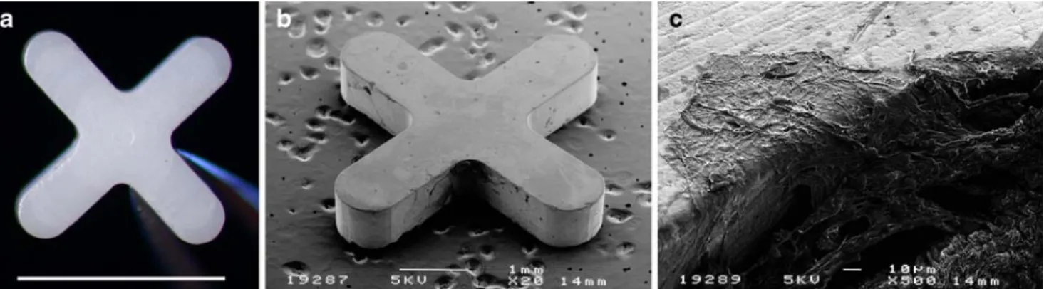 Fig. 1 a Macrophotograph of the zirconium implant. Bar: 4 mm. b Scanning electron microscopy of the implant 6 months after surgery