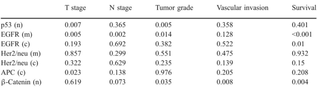 Table 2 Association of protein expressed as percent positivity with clinico-pathological  fea-tures by univariate analysis (P value)