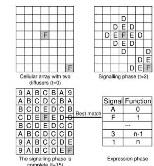 Table 1 Algorithm of the signaling phase of the morphogenetic system. V s i is one when cell i diffuses signal s