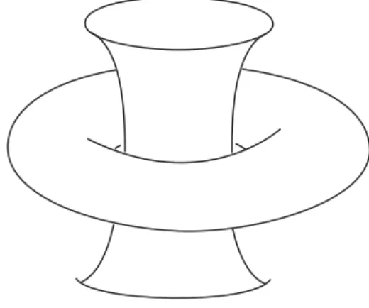 Figure 5. Heegaard splitting of S 3 as two solid tori