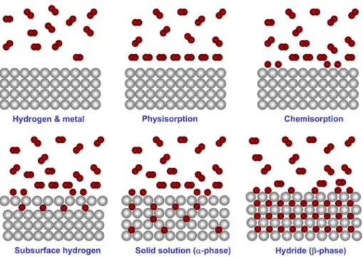 Fig. 8 The six distinct states of hydrogen absorption in metals. On the upper left-hand side the metal and hydrogen gas are in two separate phases