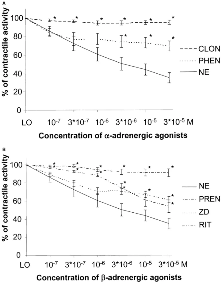 Fig. 2. Dose-responses of (A) clonidine (CLON) (α 1 ) and phenylephrine (PHEN) (α 2 ) and of (B) prenalterol (PREN) (β 1 ), ritodrine (RIT) (β 2 ) and ZD7114 (ZD) (β 3 ) compared with norepinephrine (NE)