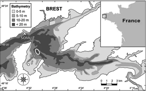 Fig. 1 Map of the Bay of Brest (France) showing the sampling sites for Crepidula fornicata (Roscanvel bank, RO) and for the environmental parameters (SOMLIT)