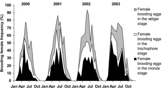Fig. 4 Frequency of each egg stage (morula, trochophore and veliger) in cumulative