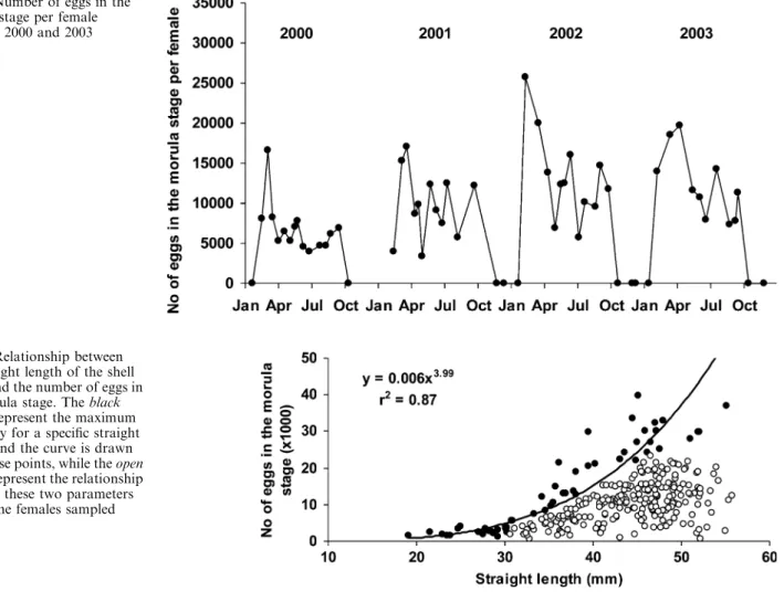 Fig. 6 Number of eggs in the morula stage per female between 2000 and 2003