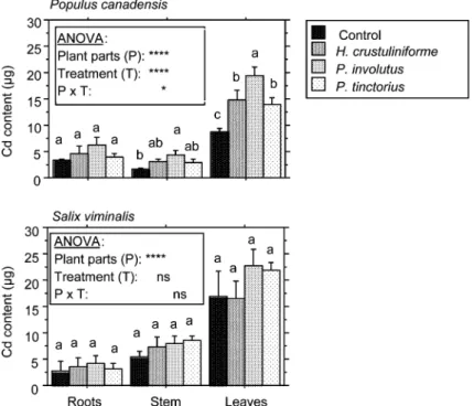 Figure 1 . Total Cd content of P. canadensis and S. viminalis showing the diﬀerent treatments