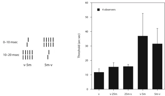 Figure 4. The target vernier was presented alone (v), preceded or followed by a masking grating of either 5  (v-5m; 5m-v) or 25 (v-25m; 25m-v) elements, respectively