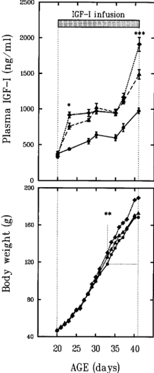 Fig.  1. Pattern  of changes  between 20 and 41  d of life in body  weight (BW) and plasma IGF-I concentration in Sprague-Dawley  female rats either receiving a rhlGF-I  infusion of 2 (A), or 4 ( t )  