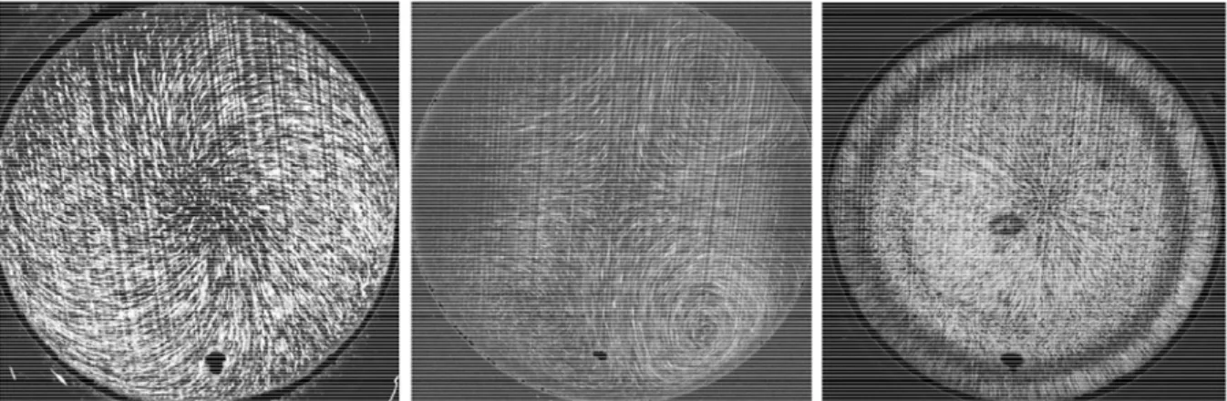 Fig. 3. From left to right, pathline visualizations of steady streaming flow at  M  = 120, 178, and 287