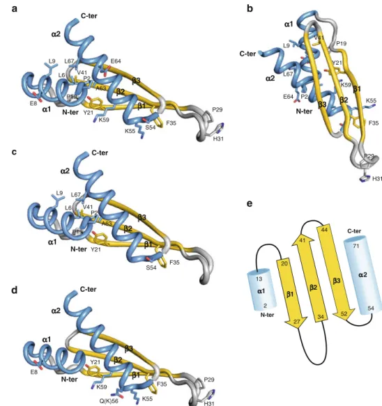 Fig. 2 Structure of the double- double-stranded RNA binding domain.