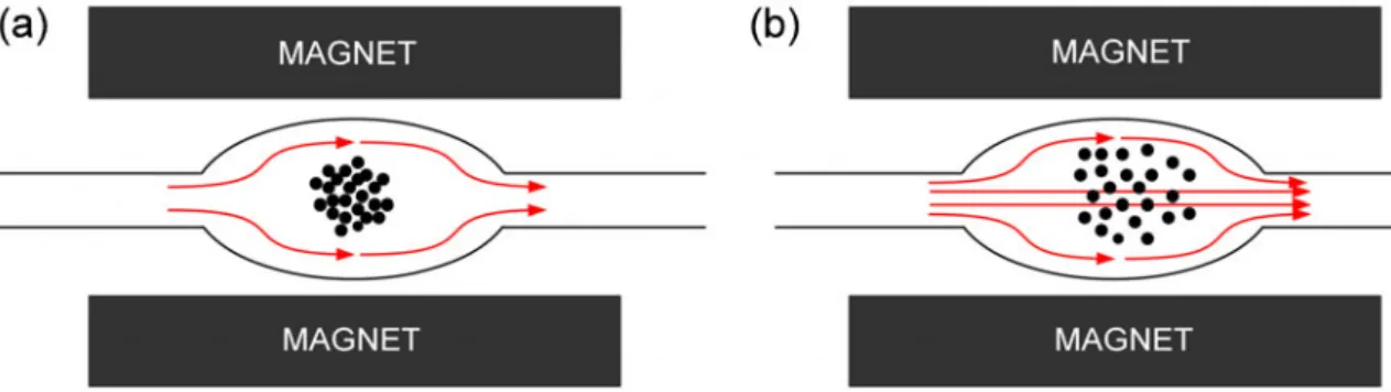 Fig. 5 UV response (200 nm) corresponding to the high-pressure removal (8 bars) of the magnetically trapped MB in a standard capillary (a) and bubble cell capillary (b) versus the magnetic bead injection time