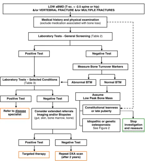Fig. 1 Clinical pathway for determining the cause of bone fragility in young adults with low BMD, vertebral fracture, and/