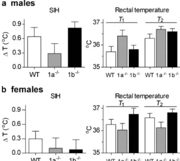 Fig. 1 Stress-induced hyperthermia (SIH). Genotype did not signif- signif-icantly influence SIH or rectal temperature at the two time points measured in experiments with a male (n=10 per genotype) or b female (n =10 per genotype) wild-type (WT), GABA = B 1
