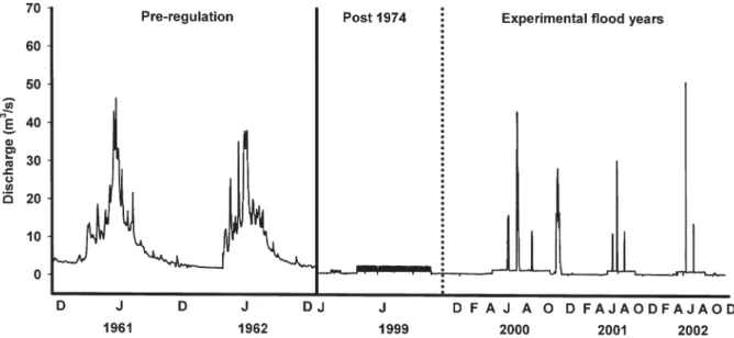 Figure 2. Discharge of the Spöl before construction of the dam (years 1960–1962) and during the 4 years of study, including the year (1999) prior to implementing the experimental flood regime