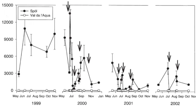 Figure 5. Mean Gammarus fossarum density (n = 3, +1 SE) estimated from benthic samples collected from the Spöl and Val da l’Aqua on each sampling date