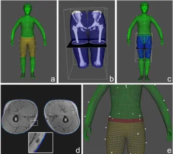 Fig. 3 (a) The markers and the body model segmented into 2 parts: the yellow part is conformed to the MRI skin model and the green parts are rigidly registered