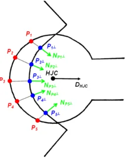 Fig. 4 2D schematic view of the collisions detection algorithm. The femur is corrected at each instant frame