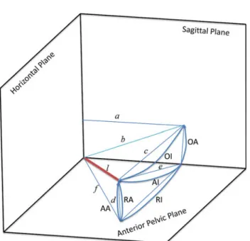 Fig. 7 Schematic view of different definitions of cup anteversion and inclination according to Murray [32]