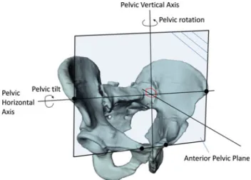 Fig. 8 Schematic view of the definitions of the pelvic tilt and the pelvic rotation