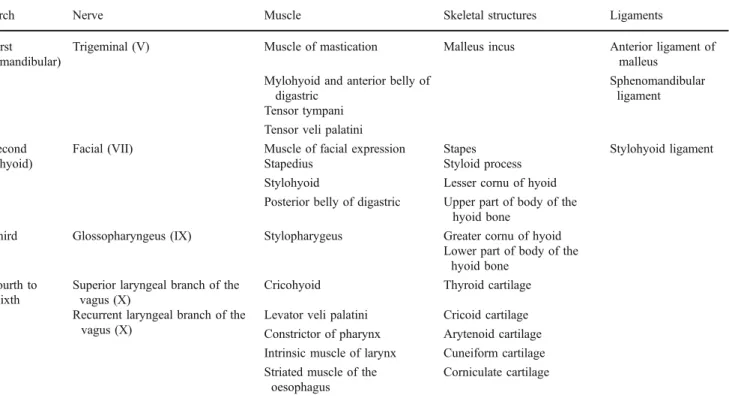 Table 1 Structures derived from branchial arch components