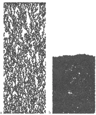 Fig. 3. Typical realizations of the granular system prepared for computational simulations of shear strength (periodic  bound-aries in horizontal direction)
