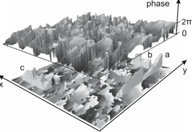 Fig. 20. The detail a indicates an area of continuously evolving phase whereas the areas b and c show neighboring regions of p shifted beating phase
