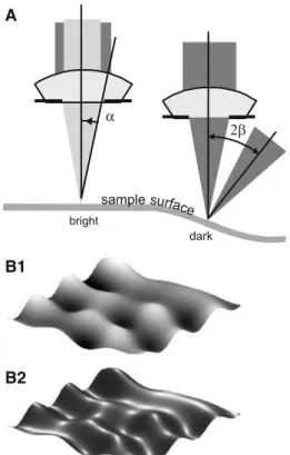 Fig. 4 Luminosity along a line in an image from a bovine trachea sample (top graph) and three reconstructed surface profiles (lower graph)