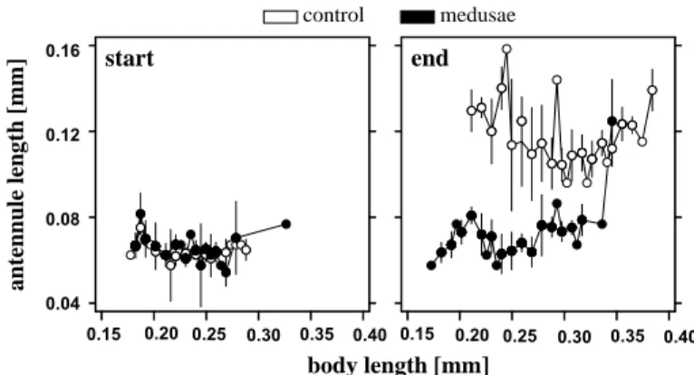 Figure 6. Diﬀerences in antennule length in relation to body length of the B. longirostris populations in medusae (black) and control (white) treatments (mean ± SE) at the beginning (left) and end (right) of the experiment.