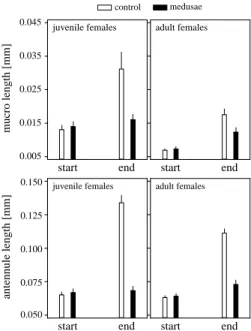 Figure 7. Mean ± SE of mucro (top) and antennule (bottom) length of juvenile (left) and adult (right) bosminids at the beginning and end of the experiment.