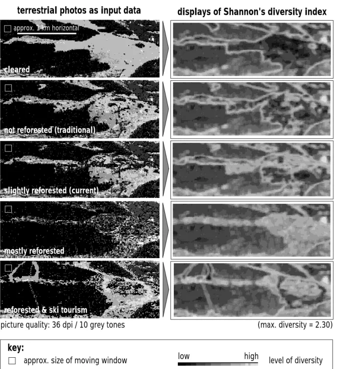 Figure 6. ‘Moving-window’ calculation of Shannon’s diversity index for terrestrial grey-tone images of the whole region exhibiting various reforestation scenarios (which correspond to the reforestation stages of Figure 1).