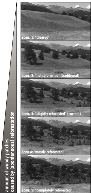 Figure 1. The landscape scenarios used in the image experiments.