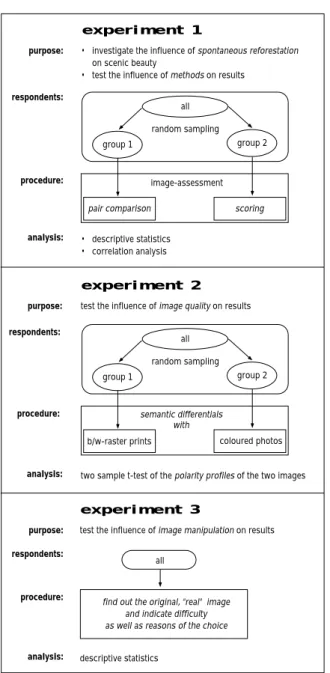 Figure 2. The design of the image experiments conducted.