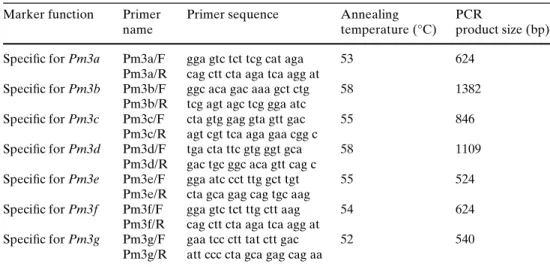 Table 1) together with lines not known to carry Pm3 resistance alleles. In all the accessions screened with the Pm3 allele-speciWc markers, not more than one allelic band per variety was ampliWed, conWrming that Pm3a–