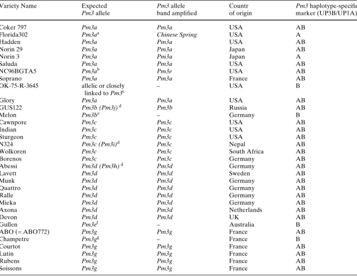 Table 3 Genotypes of Pm3 wheat cultivars used for validating Pm3 allele-speciWc markers 